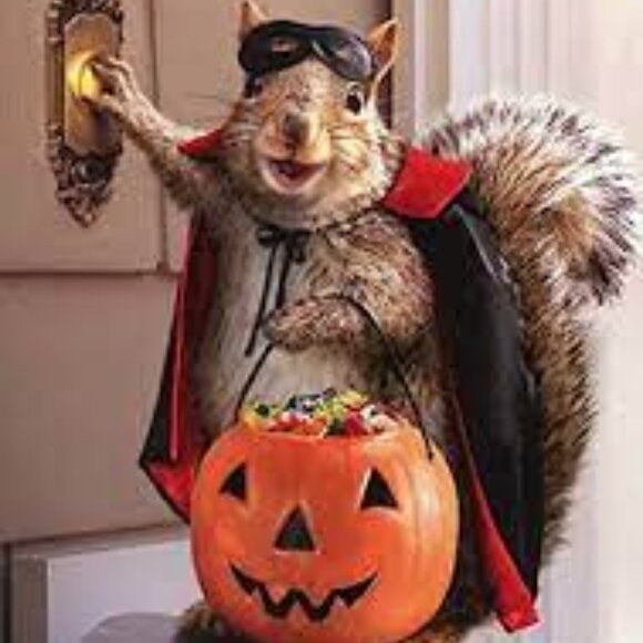 HALLOWEEN FUN! - Picture 1 of 1